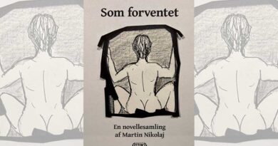 Som forventet – sytten uforudsigelige noveller