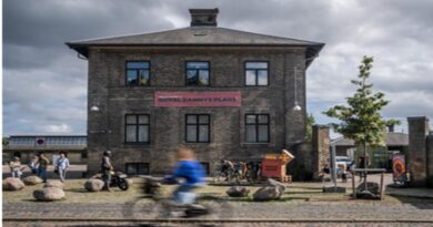 Alternative Pride 2025: En queer festival med plads til mangfoldighed