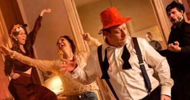 Drama, champagne og nytårs-narcissisme – Paprika Steen serverer et festfyrværkeri af sandheder