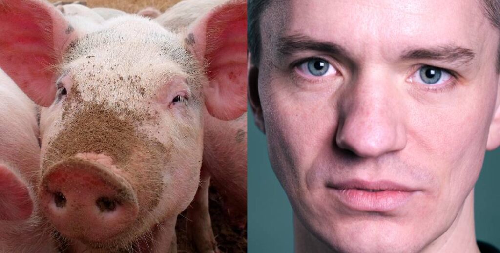 Svinevalg: Sanger stempler ind i valgkampen