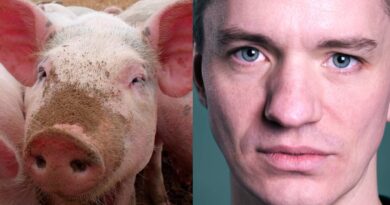 Svinevalg: Sanger stempler ind i valgkampen