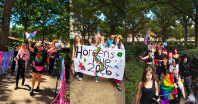 Galleri: Horsens Pride 2026 glimtede i solen