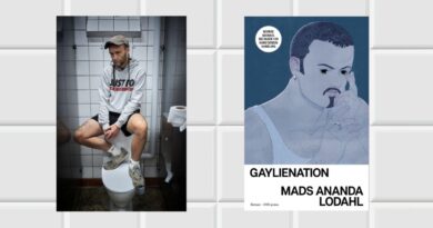Når en mega-popstjerne bliver homo-ikon – uden skam